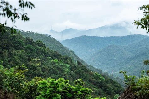 深圳的山|深圳十峰是哪些 (高度排名)